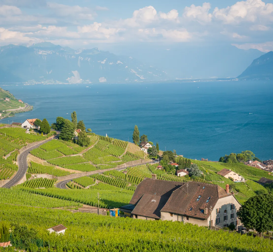 Traitement de l’humidité dans la maison