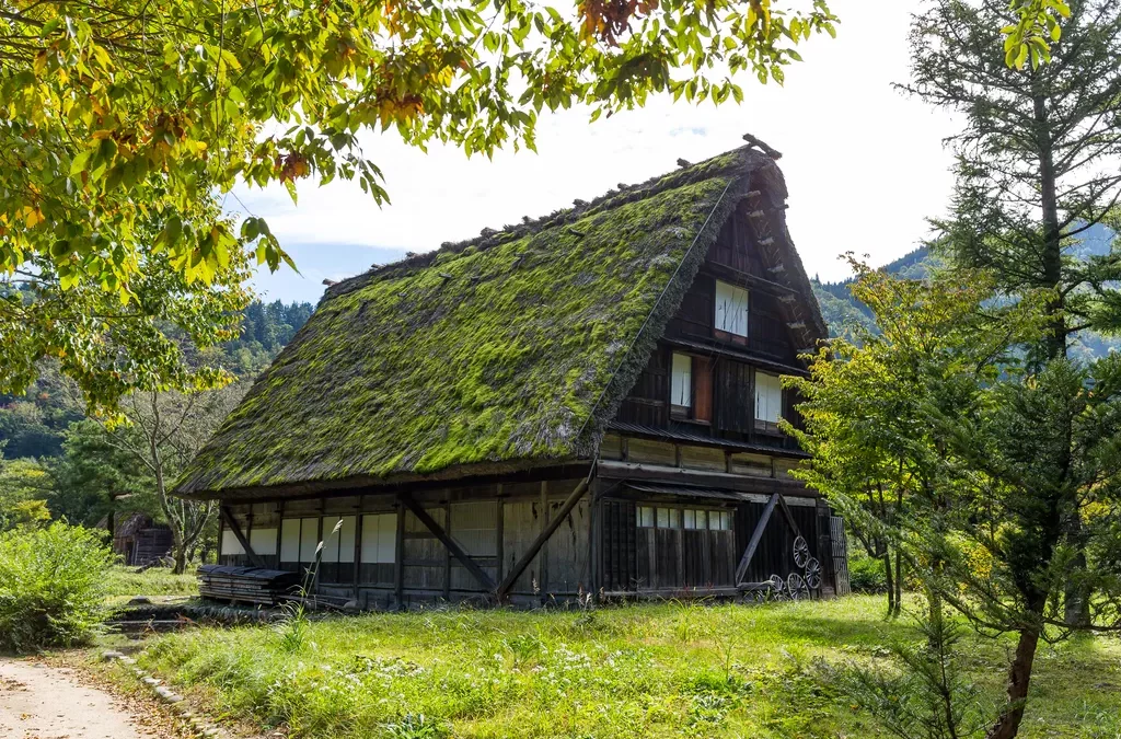 Mousse, lichens et humidité autour du Léman : pourquoi les toitures s’encrassent plus vite ?