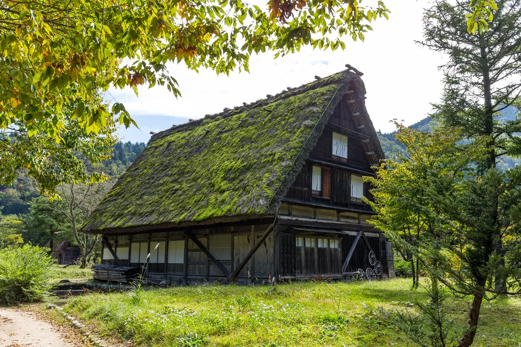 mousse-lichen-toiture-lac-leman-solutions